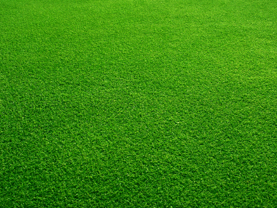 How to Keep your Grass Green - Lawn UK